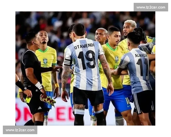 从南美之巅到世界舞台，阿根廷队的征程